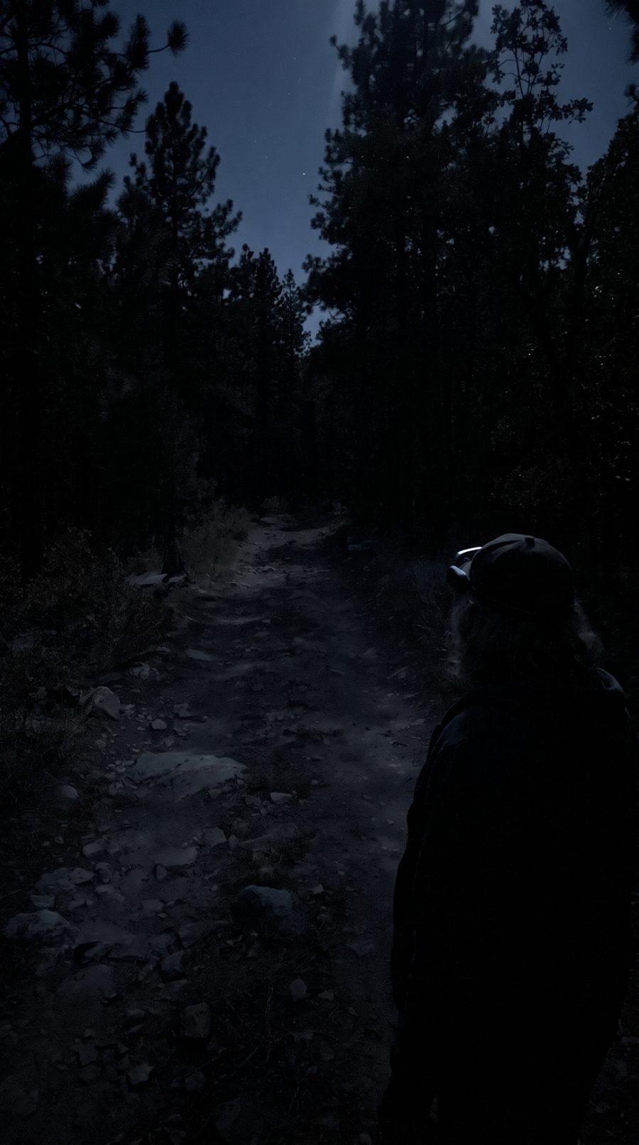 Dark forest trail at night with the goggles switched off