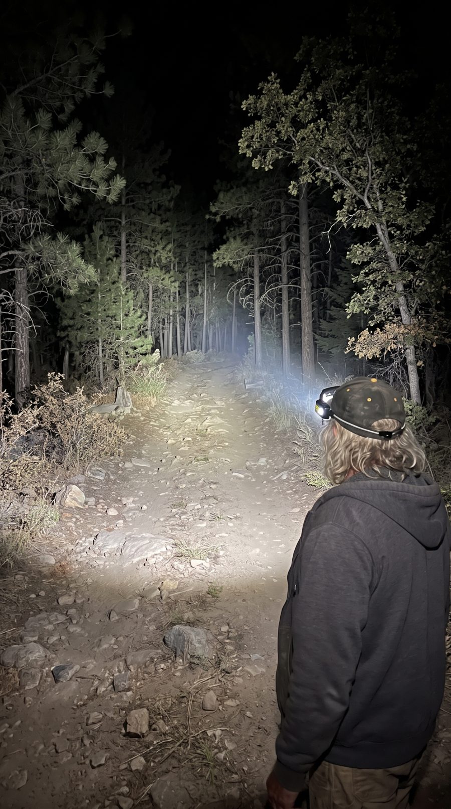 The same trail lit up by the goggle beam